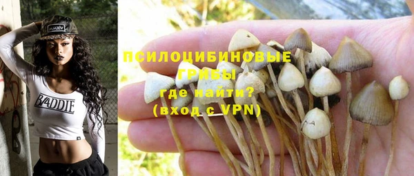 Альфа ПВП Медногорск