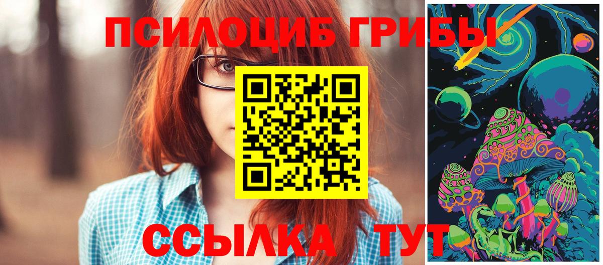 Псилоцибиновые грибы прущие грибы Йошкар-Ола
