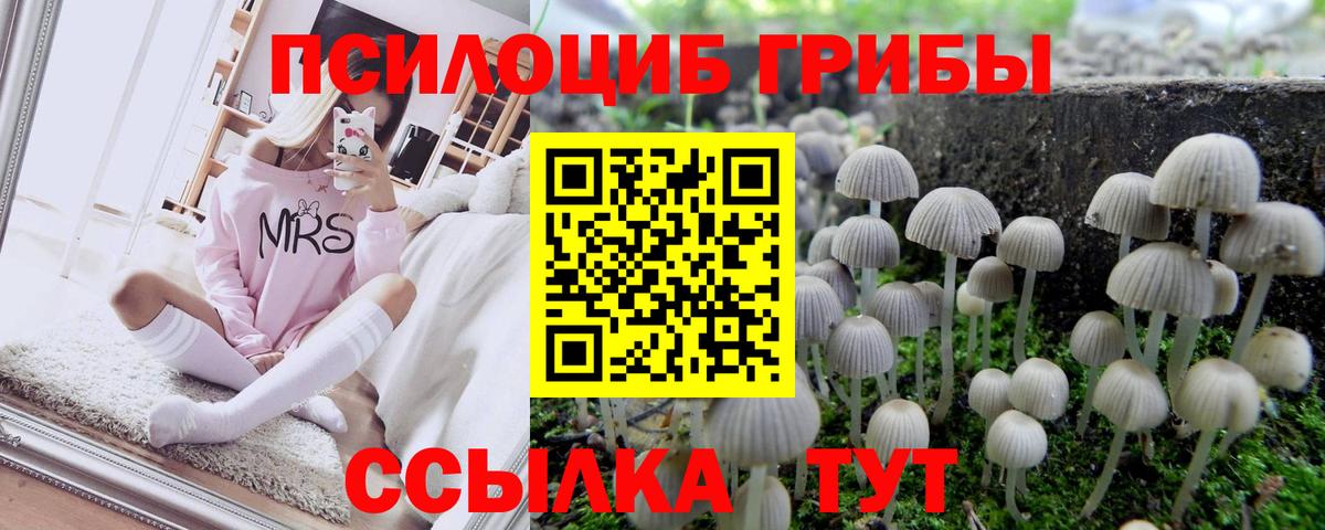Йошкар-Ола  Псилоцибиновые грибы Psilocybe  Вход с VPN 