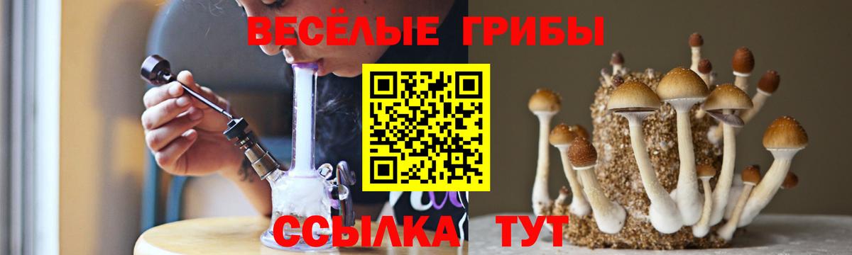 Псилоцибиновые грибы GOLDEN TEACHER Йошкар-Ола